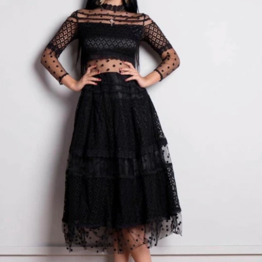 COPY - ✨STUNNING✨ Sheer lace & Mesh dress_NWT